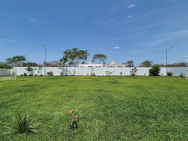 place photo 24
