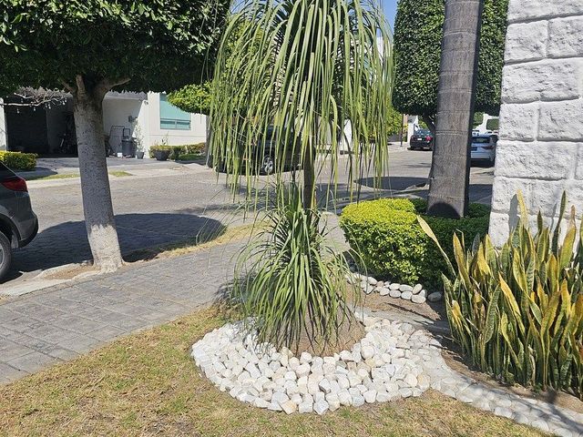 place photo 41