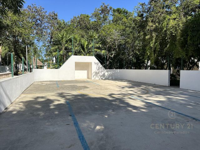 place photo 24