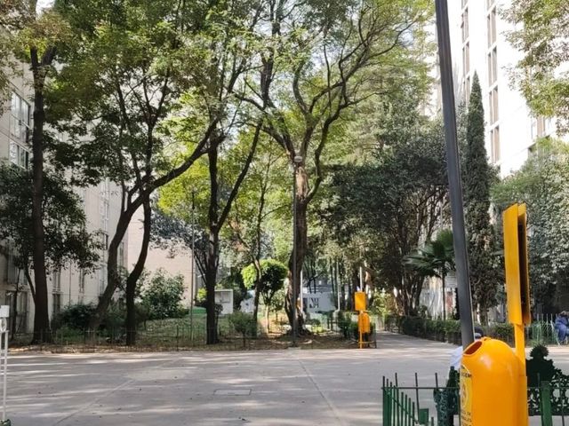 place photo 12