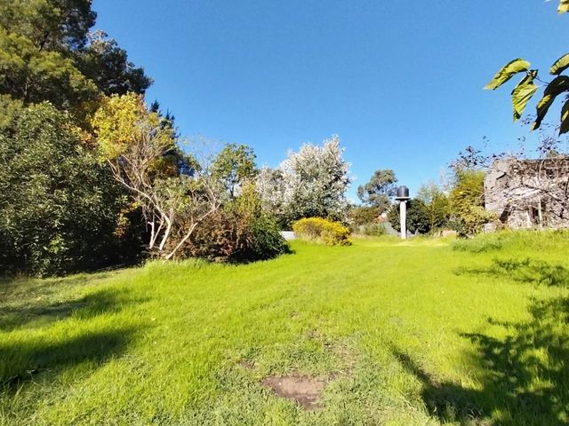 place photo 25