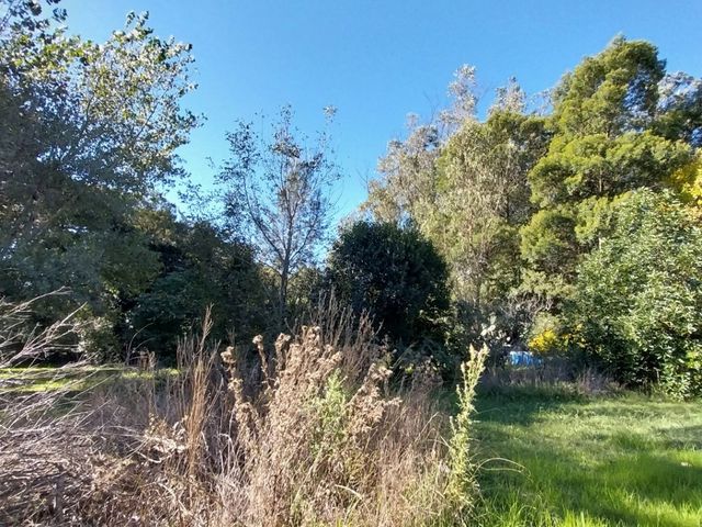 place photo 33