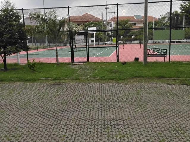 place photo 19