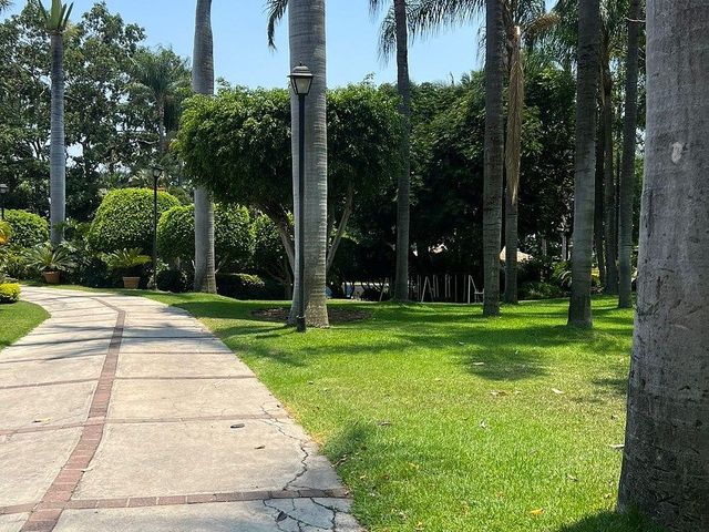 place photo 34