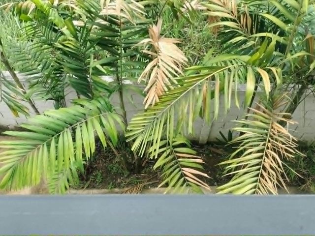 place photo 33