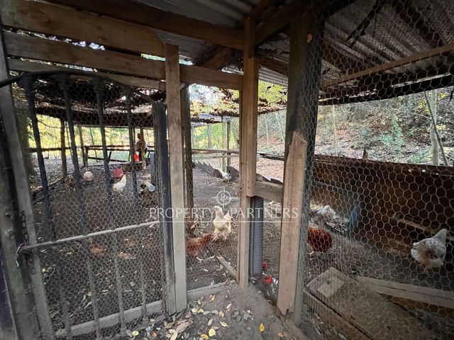 place photo 48
