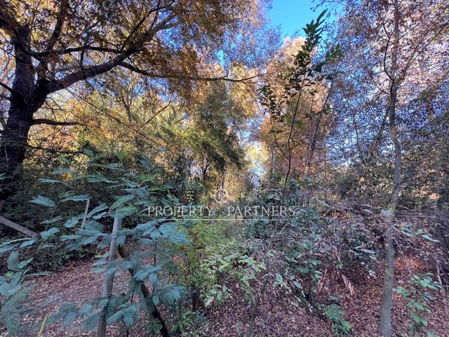 place photo 42