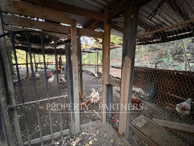 place photo 48