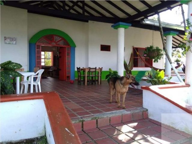 place photo 24