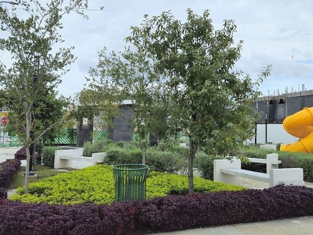 place photo 23