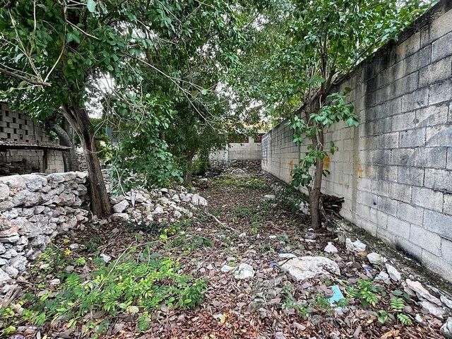 place photo 20