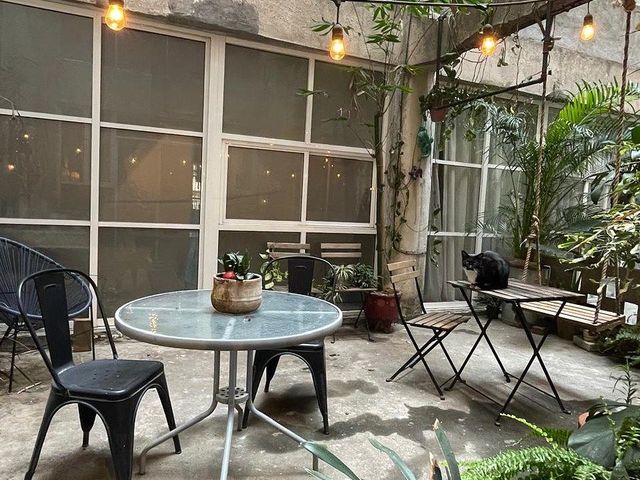 place photo 24