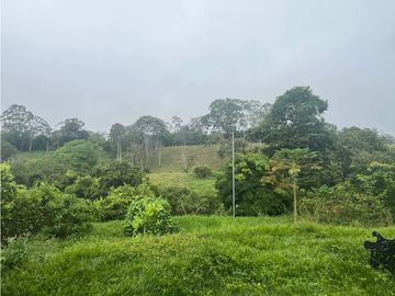 place photo 52