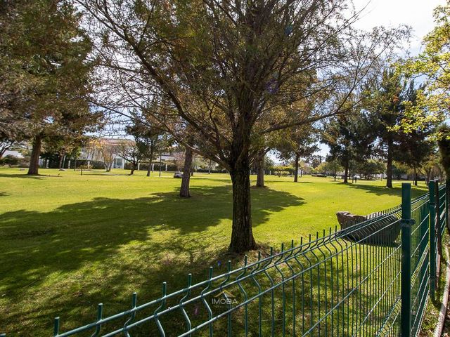 place photo 60