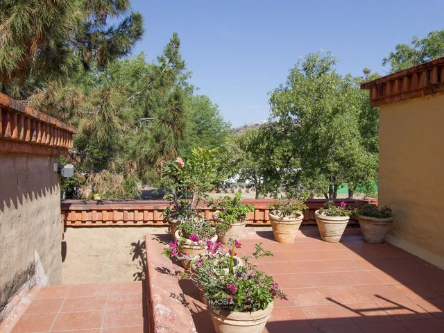 place photo 58