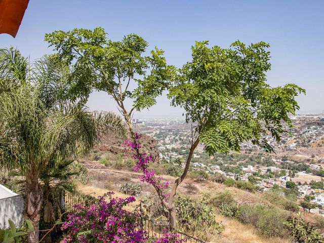 place photo 43