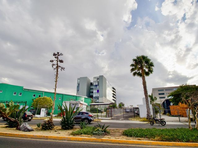 place photo 21