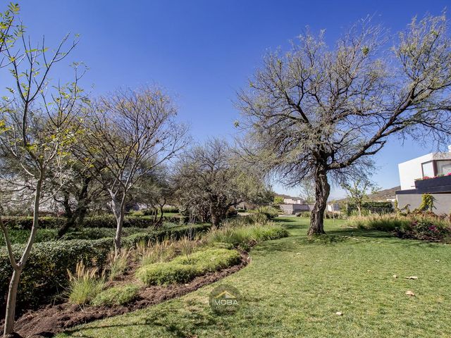 place photo 49