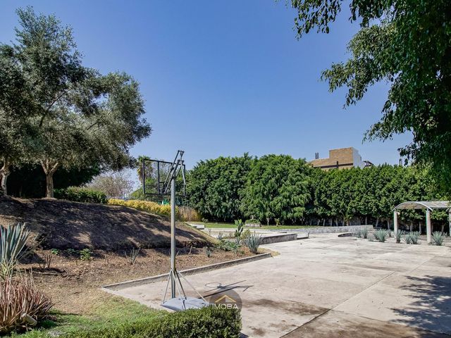 place photo 57