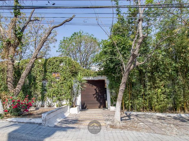 place photo 80