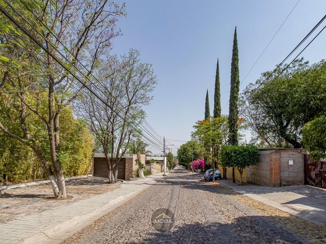 place photo 54