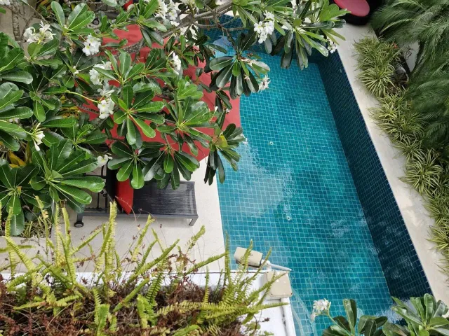 place photo 26
