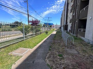 place photo 22