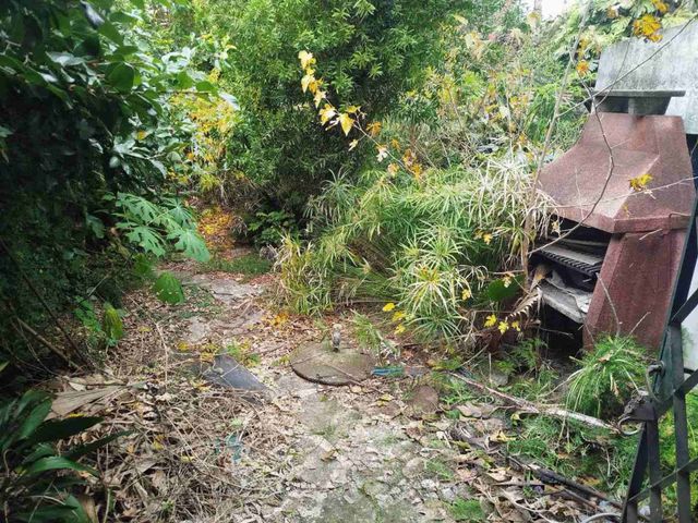 place photo 25