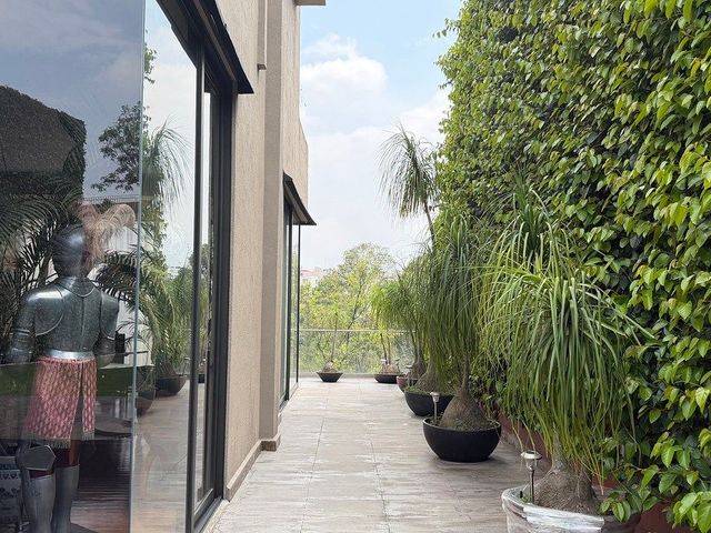 place photo 47