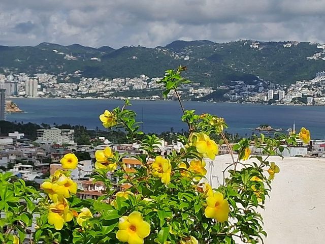 place photo 28