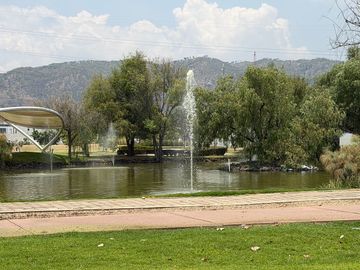 place photo 26