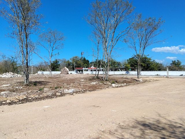 place photo 25