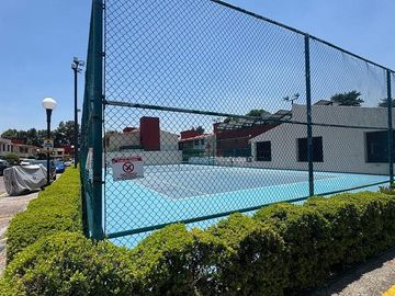 place photo 28
