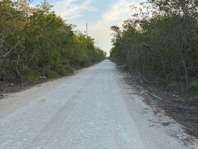 place photo 5