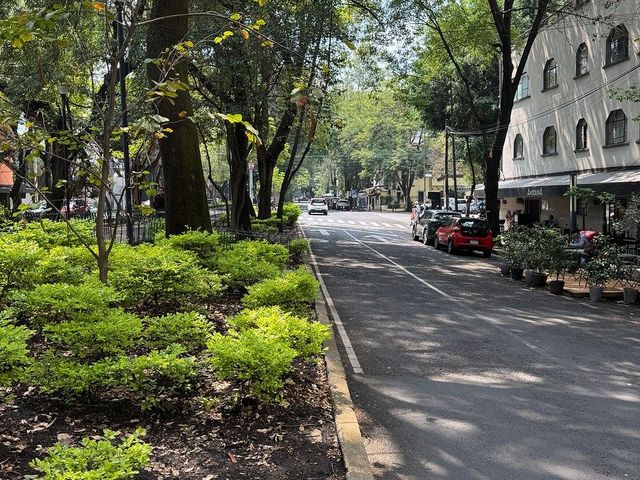 place photo 25