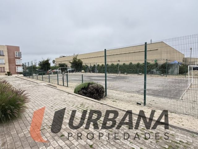 place photo 19
