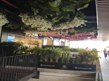 place photo 56