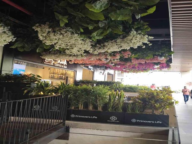 place photo 56