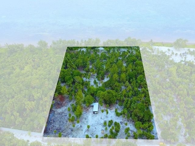 place photo 19