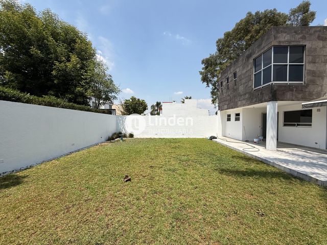 place photo 43
