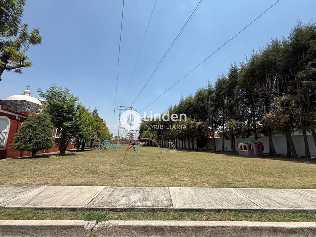 place photo 56