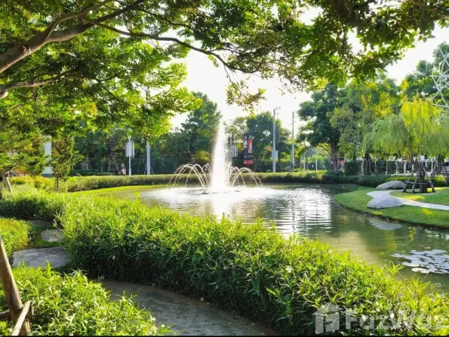 place photo 15