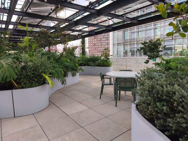 place photo 29