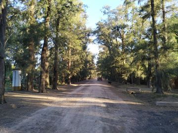 place photo 27