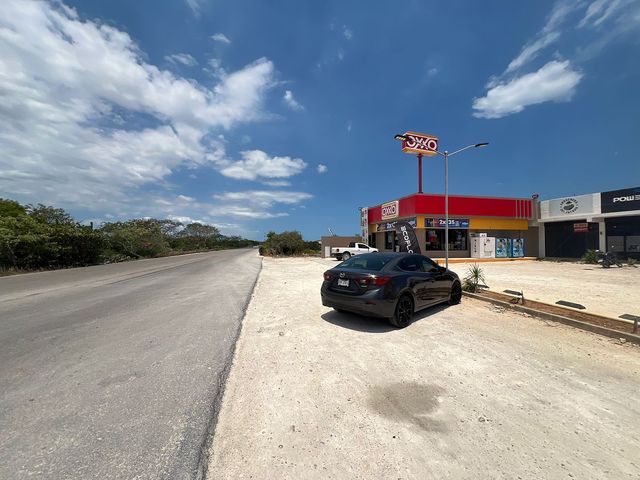 place photo 7