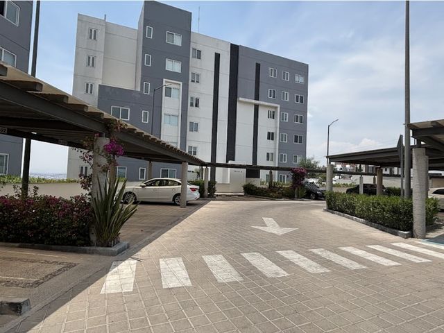 place photo 30