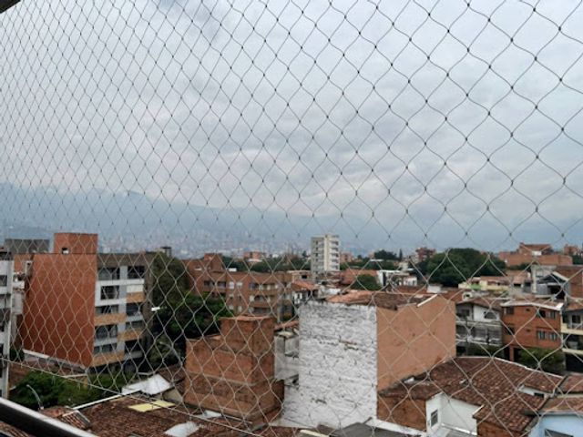 place photo 23