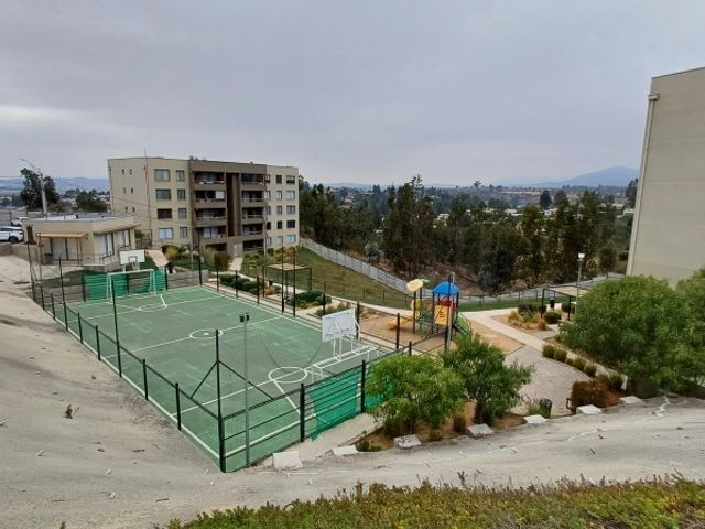 place photo 30