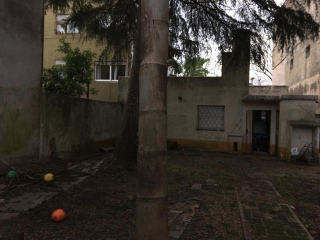 place photo 17