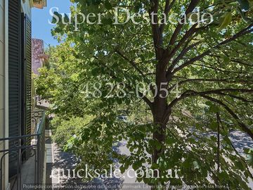 place photo 41